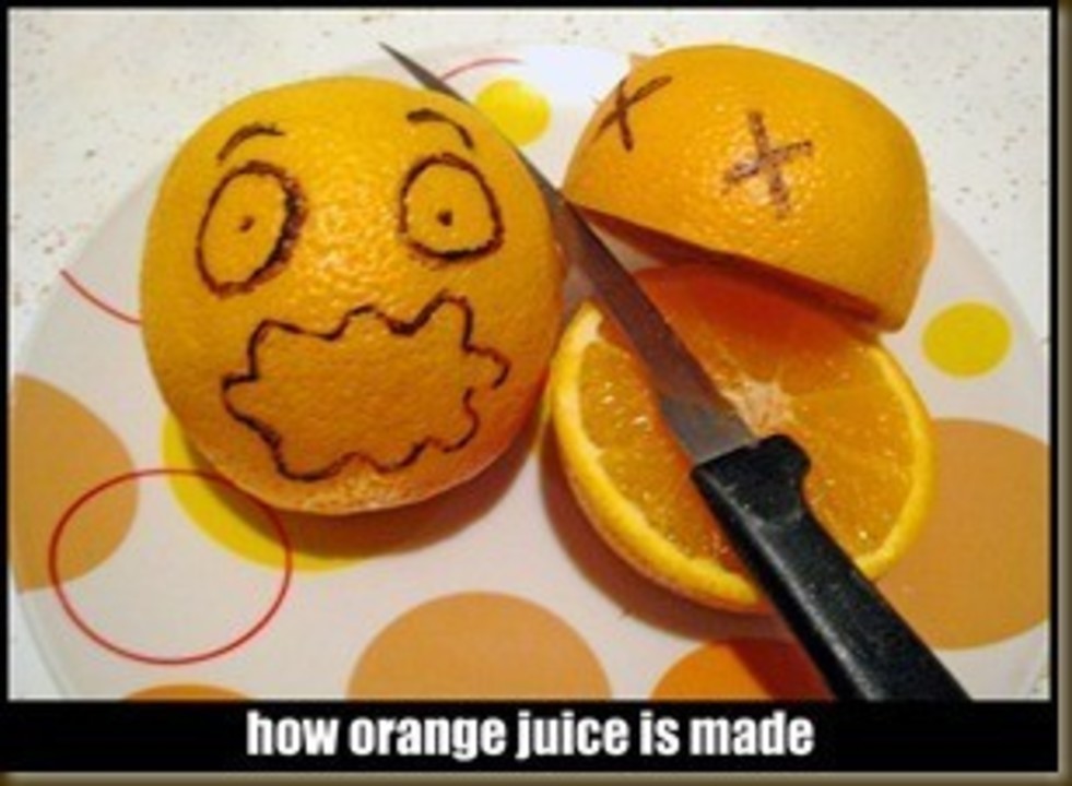 How_Orange_Juice_Is_Made_by_ariesleovirgo